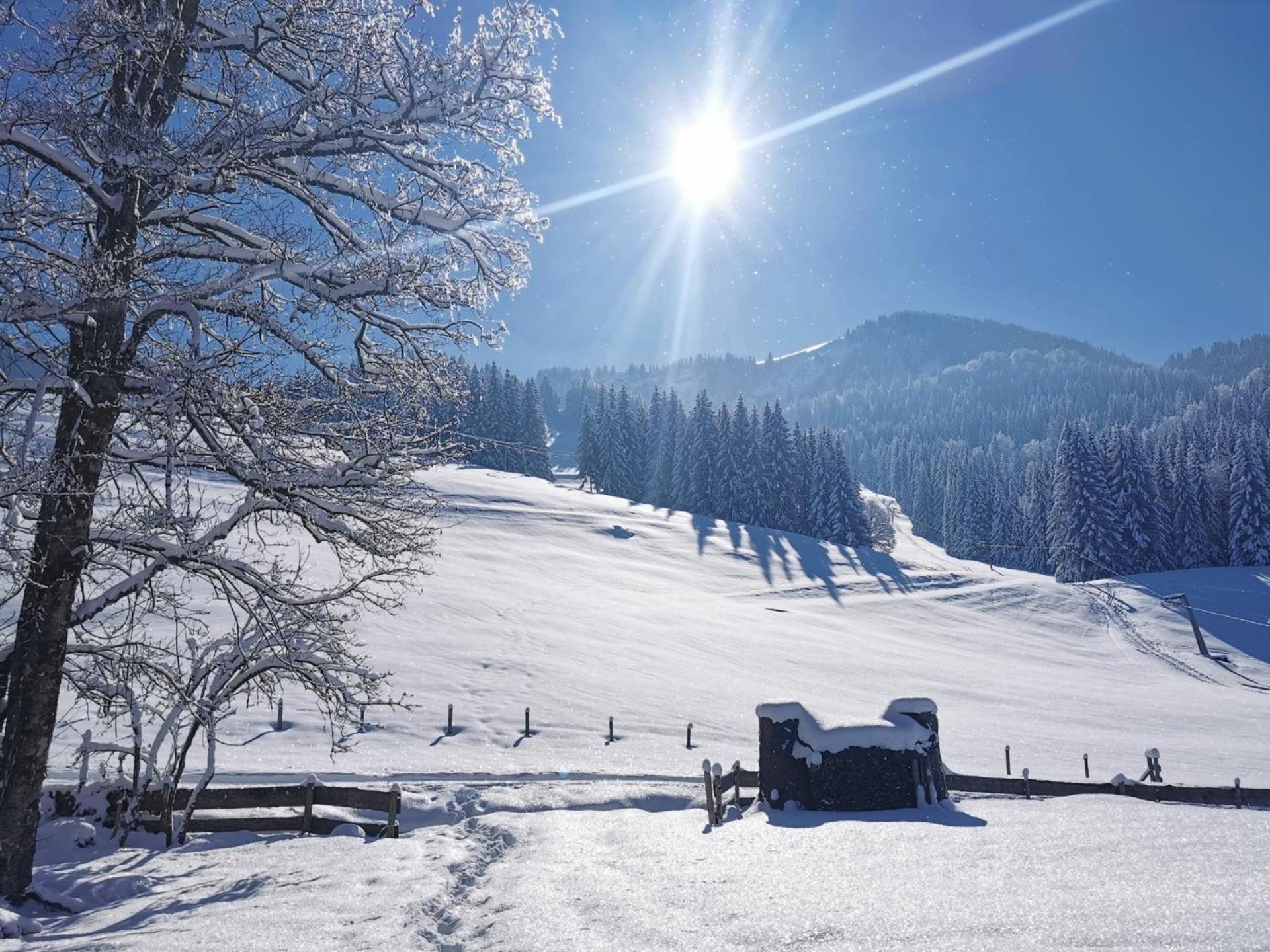 Konstanzer Bergblick mit Wintergarten Oberstaufen Eksteriør billede