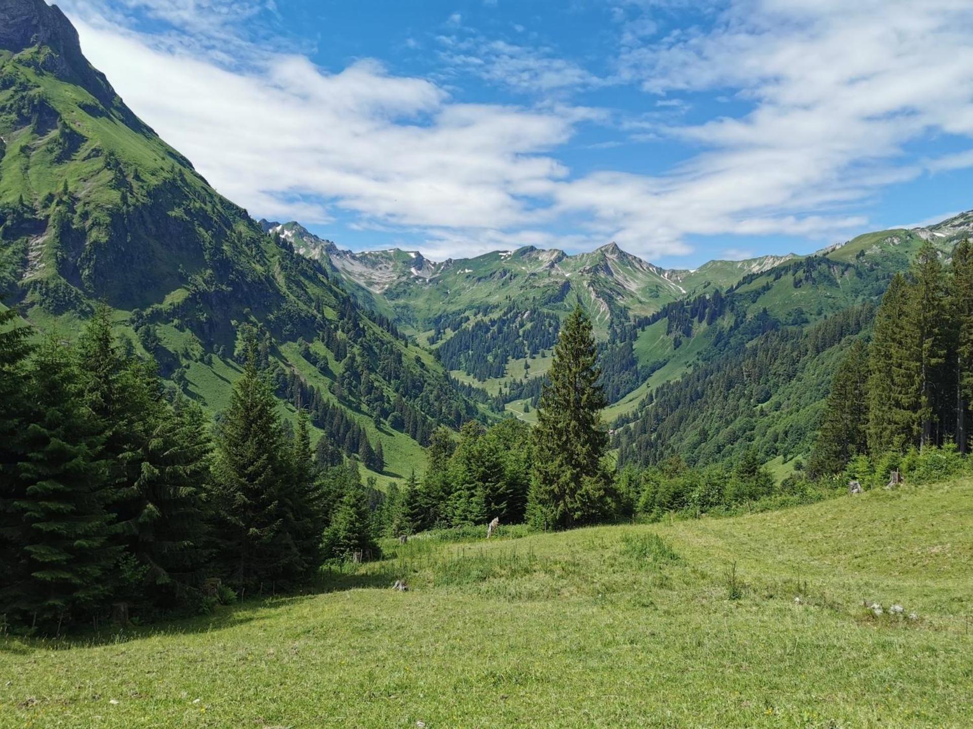 Konstanzer Bergblick mit Wintergarten Oberstaufen Eksteriør billede